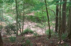Pulliam Mill Road, Dewy Rose, GA 30634