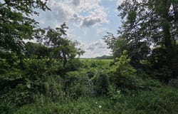 13 Mile Rd (parcel 5), Burlington, MI 49029