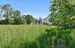 0 V/L E Charles Road, Ionia, MI 48846