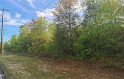 Deltona Boulevard, Chipley, FL 32428