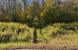 Heatherland Lane lot: 14, Halcottsville Twp, NY 12438