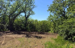 1040 SE Stanley Road, Tecumseh, KS 66542