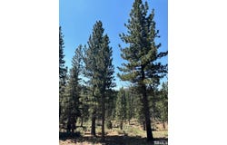 Raymond View lot: 2, Markleeville, CA 96120
