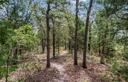 Christensen Rd, Elgin, TX 78621