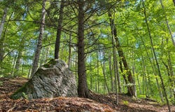 Montgomery Heights Road, Montgomery, VT 05470