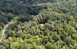 Benttree Trail, Columbus, MS 39705