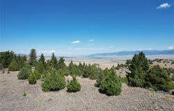Shining Mountains, Ennis, MT 59729