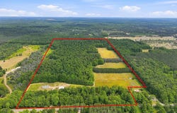 275 S 35 ROAD, CADILLAC, MI 49601