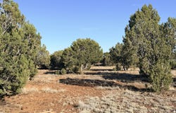 9070 PINTO Trail, Show Low, AZ 85901