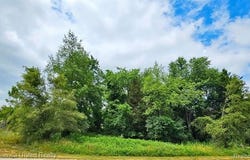 10536 Oak Shore Drive, Green Oak Twp, MI 48178