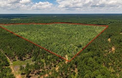 Parcel # 12446 CR 460, Etoile, TX 75944