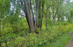 Greenfield Lane, Baraboo, WI 53913