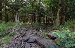 4172 850 Rd, Fredonia, KS 66736