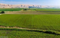 NKA Jensen Rd, Toppenish, WA 98948