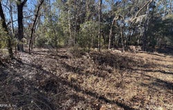 131 SPRING LAKE Drive, Interlachen, FL 32148