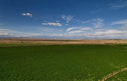 Hwy 32, Byron, WY 82412
