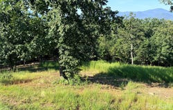 Summertime Drive, Lake Lure, NC 28746