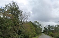 978 JOINER ROAD, CHIPLEY, FL 32428