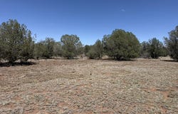 5527 N Randall Boulevard, Williams, AZ 86046