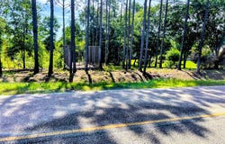 COUNTY RD 45, Headland, AL 36345