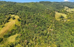 2918 Copper Creek Road, Duffield, VA 24244