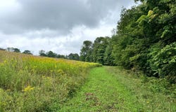 1.7 Brigham Rd, Richford, NY 13835
