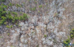 W Store Rd, Halifax, VA 24558