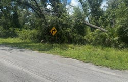 116TH ST lot: 11-12, Dowling Park, FL 32060