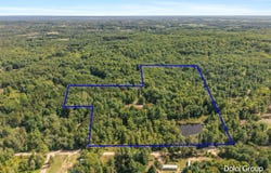 8172 S Frank Smith Road, Chase, MI 49623
