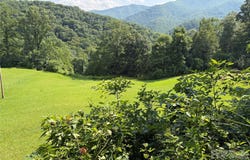 Rickman Ridge, Canton, NC 28716