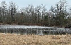Liberty Road, Leslie, AR 72645