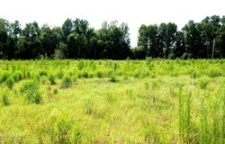 590 County Road 247, Bruce, MS 38915