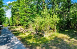 WONDER LANE lot: 0, PARRISH, AL 35580