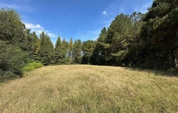 624 Caraway Road, Hickory, MS 39332