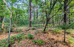 Hillside Drive, Alger, MI 48610