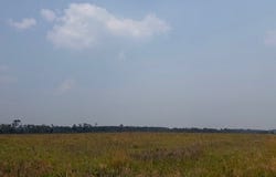 Moore Road Tract 14, Naylor, GA 31641