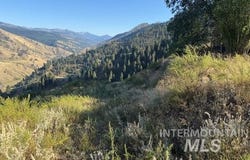 144 Chukar Run, Pollock, ID 83547