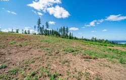 S Silver Lake Rd, CastleRock, WA 98611