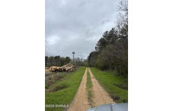 U.S. 45, Scooba, MS 39301