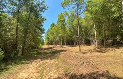 COUNTY ROAD 66, CAMP HILL, AL 36879