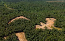 7000 Wolf Pen Rd, Pocahontas, TN 38061