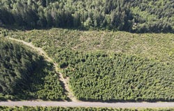 SE Clausen Rd, Estacada, OR 97023