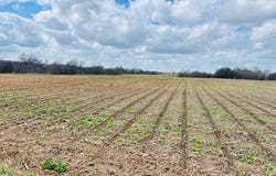 County Road 495, Chilton, TX 76632