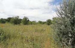 Molina Road, Peralta, NM 87042