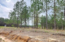 980 County Road 1060, Center, TX 75935