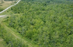 A Highway, Thayer, MO 65791