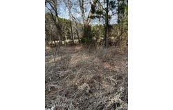 362 Sandy Cross Road, Belvidere, NC 27919