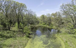 2437 State Highway Y, Norwood, MO 65717