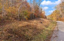 Wild Ridge Road, Morehead, KY 40351