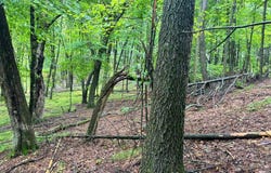 DOEDE Road, IOLA, WI 54945